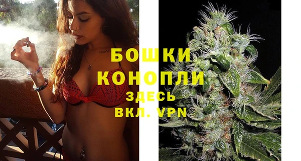гидропоника Горно-Алтайск
