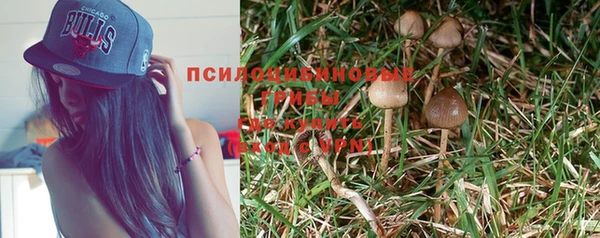 тгк Горнозаводск