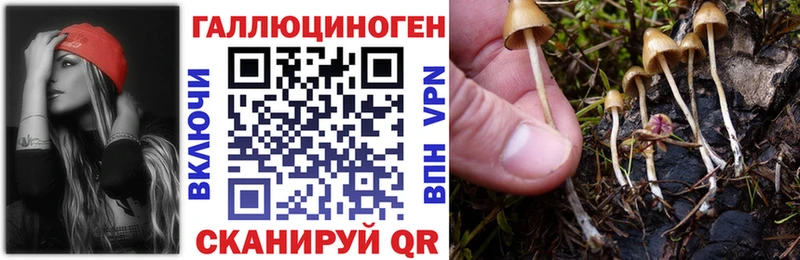 Купить где  Черемхово  Галлюциногенные грибы прущие грибы 